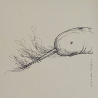 Rembrandt’s anatomic studies and Egon Schiele’s drawings are insinuated in this Dania’s artworks as part of its expressive possibilities.
