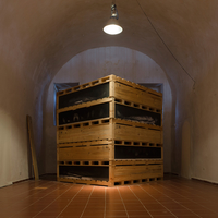 Una de las obras más impactantes de la muestra colateral de arte cubano contemporáneo que apuntaló a esta 11na Bienal de La Habana desde los recintos abovedados de La Cabaña, lo fue Capital humano, de Jorge López Pardo.