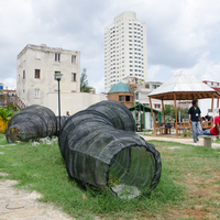The art collector José Busto, with profound commitment to Cuban contemporary art, sponsored Humus, an installation developed by Dania González for the 11th Havana Biennial’s Ciudad Generosa Art Project, created by the group 4ta Pragmática in 2012.