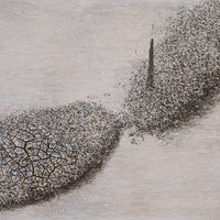 La precisión según la cual donde pone la mano pone la certeza, lo está convirtiendo en una de las grandes figuras del arte latinoamericano contemporáneo. Este ingenioso artista Bejarano logra que sus atmósferas visuales nos hagan experimentar un silencio espectral, que connota, mejor que cualquier elemento figurativo, la mudez del hombre ante las fuerzas que lo trascienden. La aridez colma lo que pudieron ser benévolos paisajes y son lugares de vociferante esterilidad.